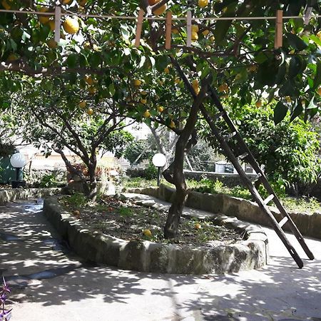 Holiday Apartments Lacco Ameno (Isola d'Ischia) Exterior foto