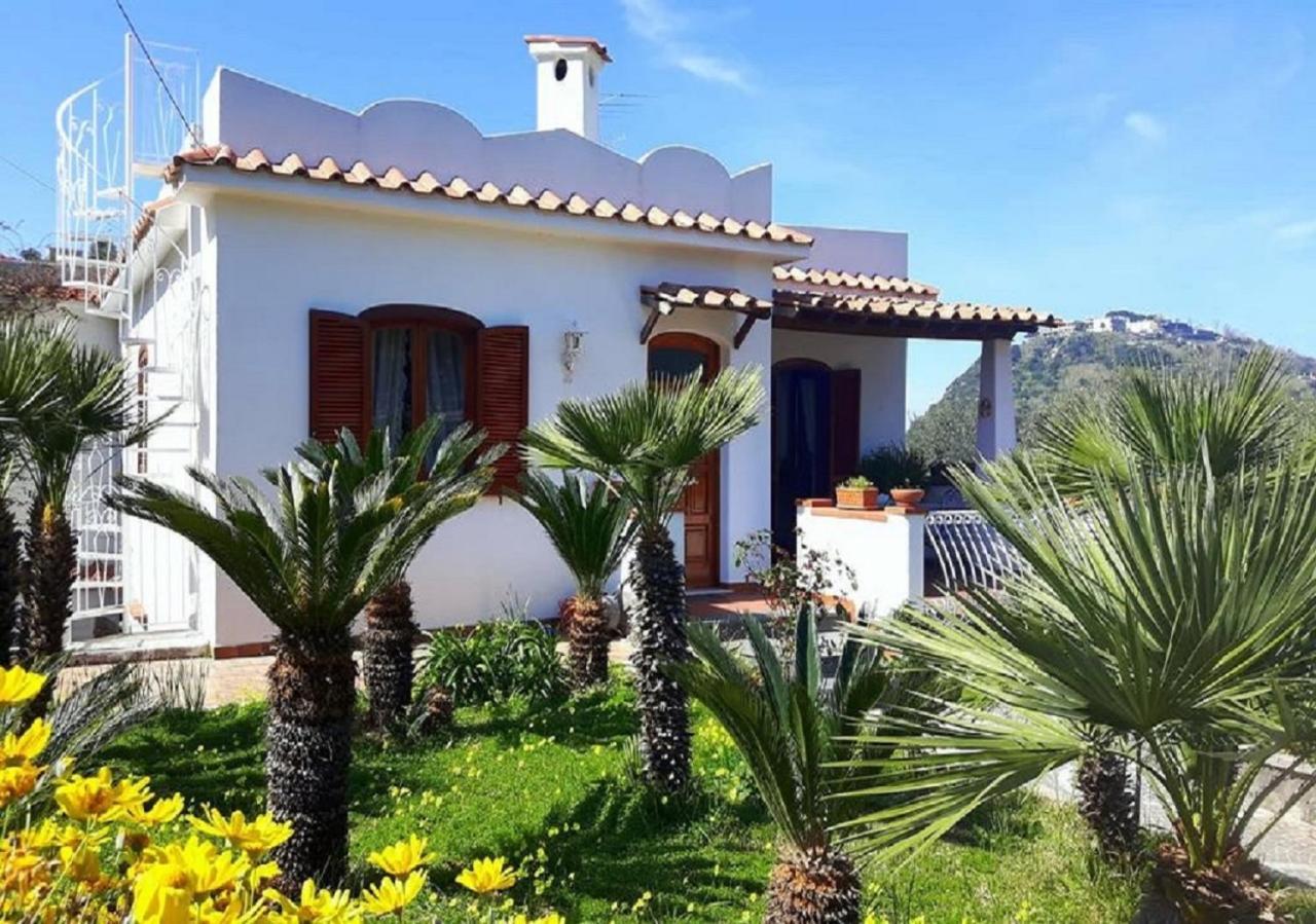 Holiday Apartments Lacco Ameno (Isola d'Ischia) Quarto foto