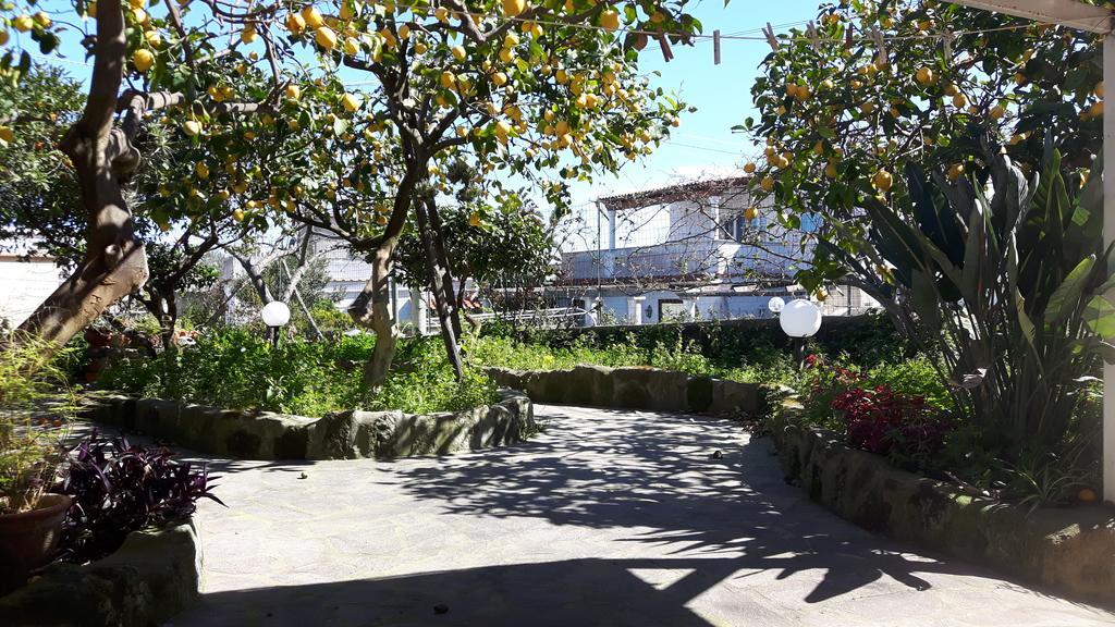 Holiday Apartments Lacco Ameno (Isola d'Ischia) Exterior foto