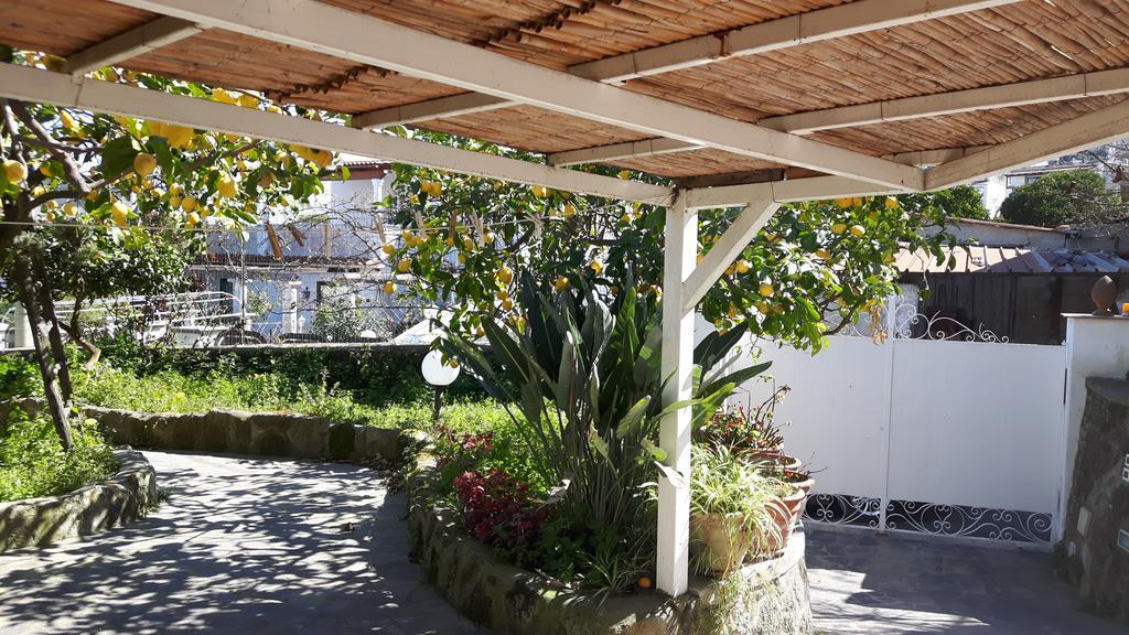 Holiday Apartments Lacco Ameno (Isola d'Ischia) Exterior foto
